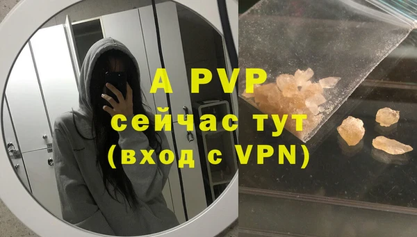 гидра Алексеевка