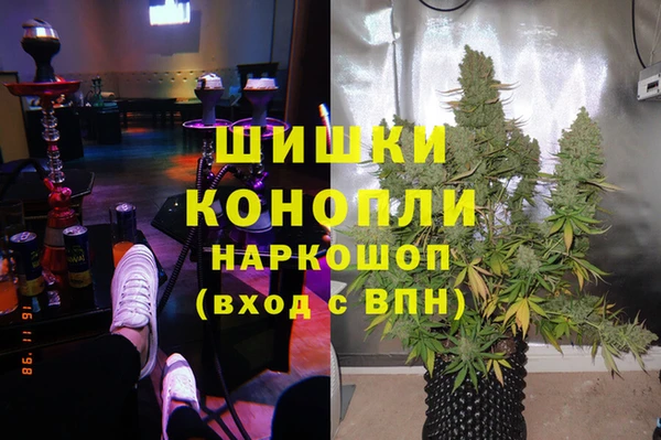 гидра Алексеевка